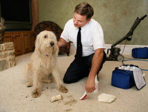 Tips And Tricks For The Best Residential Carpet Cleaning