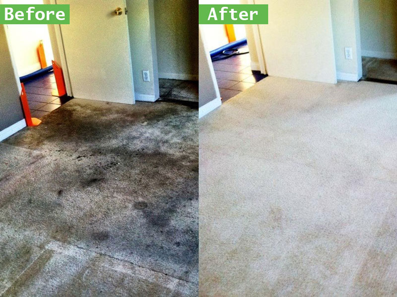 Top 9 Best Carpet Cleaners In Anchorage Ak Angie S List